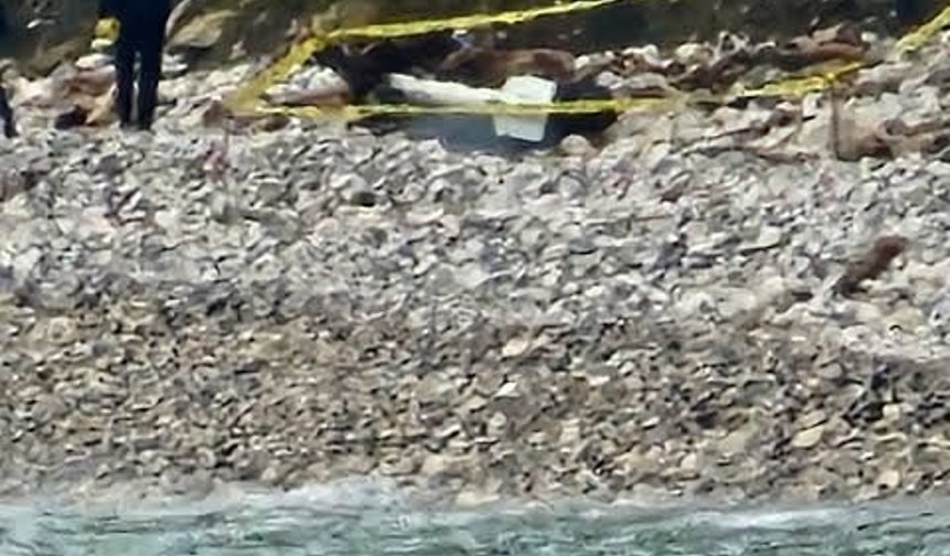 Türkeli'de kıyıya vuran şüpheli cisim korkuttu