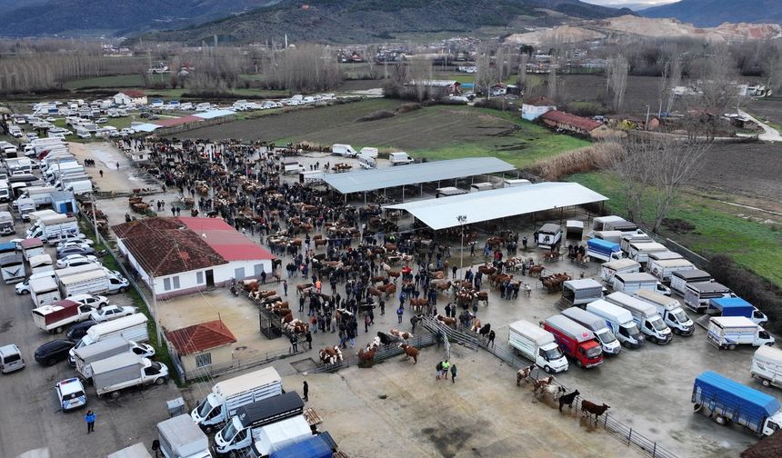 Turhal Hayvan Pazarı Artık 600 m² Kapalı Alana Sahip