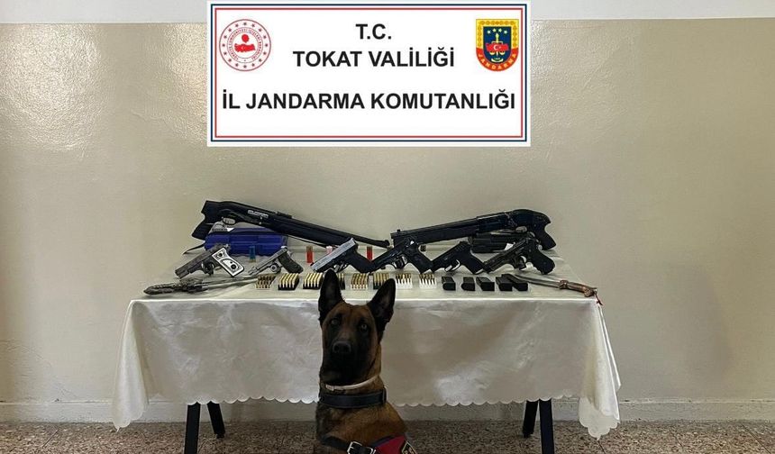 Tokat'ta Silah Kaçakçılığı Operasyonu! 15 Şüpheliye 21 Adres Baskını