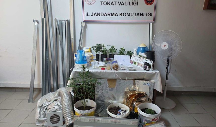 Tokat’ta Sera Tipi Kenevir Yetiştiriciliğine Suçüstü