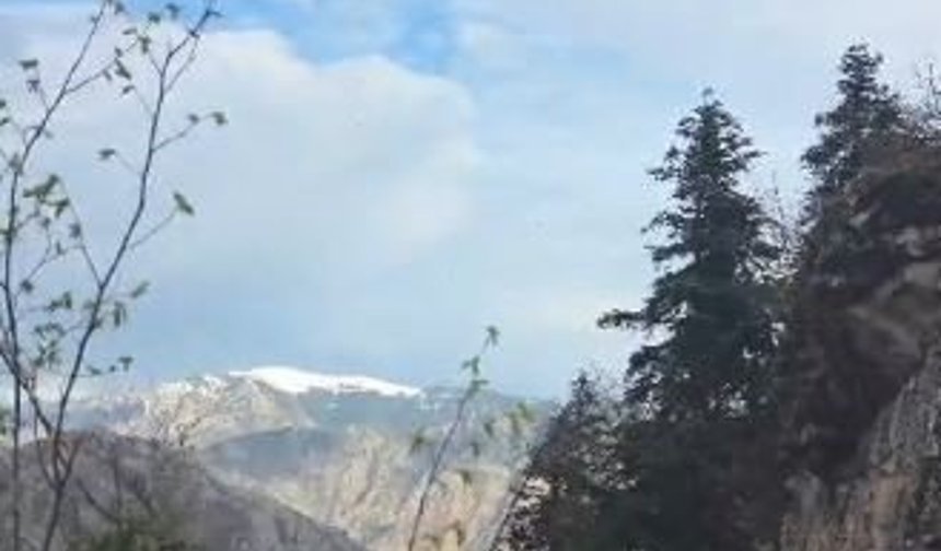 Artvin'de yaylada düşerek yaralanan vatandaş helikopterle kurtarıldı