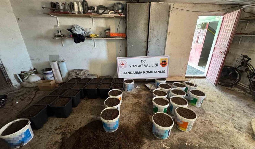 Yozgat'ta uyuşturucu yetiştirme düzeneği ve uyuşturucu madde ele geçirildi
