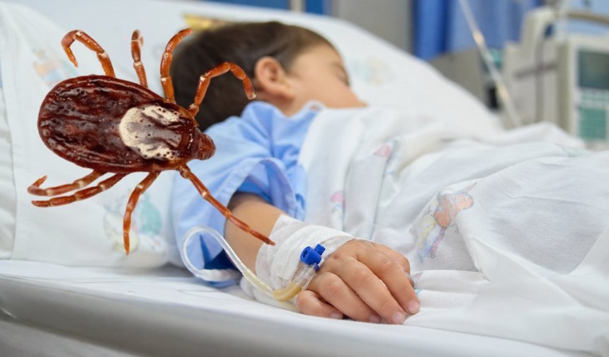 Zile’de 3 Yaşındaki Çocuk Kene Tutunması Sonrası Fenalaştı