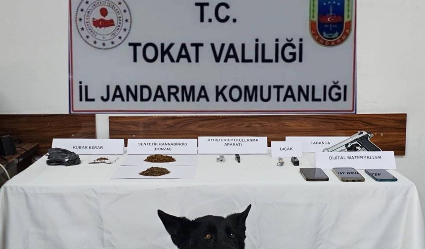 Tokat Reşadiye'de Jandarma U***turucu Operasyonu Baskını