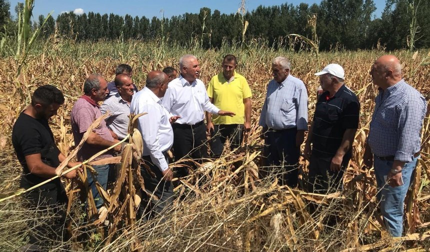 Kadim Durmaz: "Mısır İthalatı Kararı Yerli Üreticiyi Vuruyor"