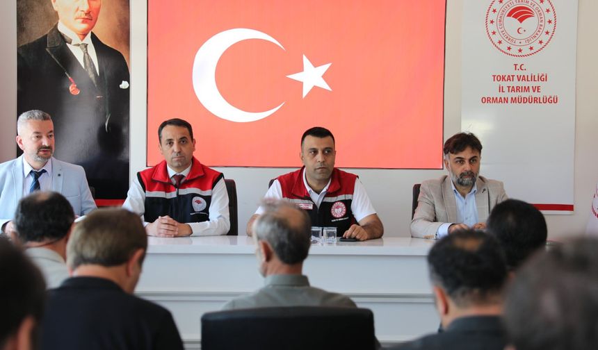 Tokat'ta Sel Sonrası Seferberlik! Tarımda Hasar tespit ve Koordinasyon Mesaisi