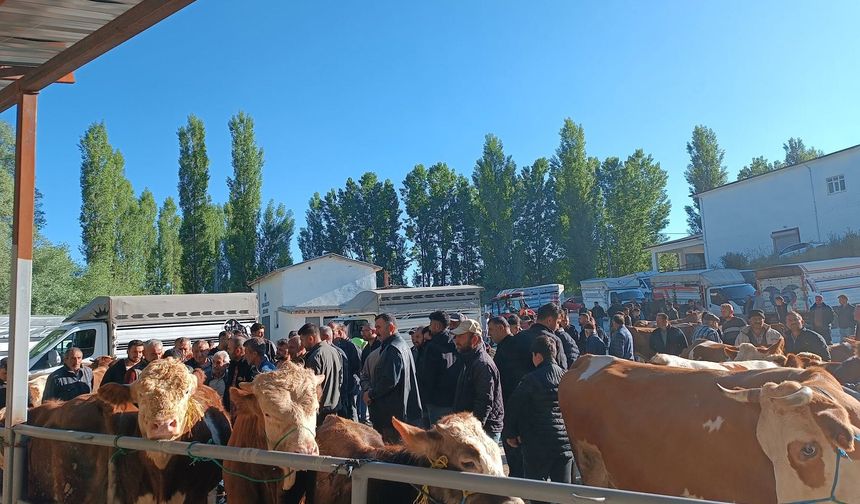 Artova’da Hayvan Pazarı Kapılarını Açtı