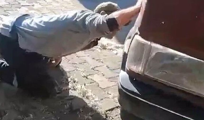 Tokat'ta Otomobil Motoruna Gizlenen Yılan Ekipleri Alarma Geçirdi