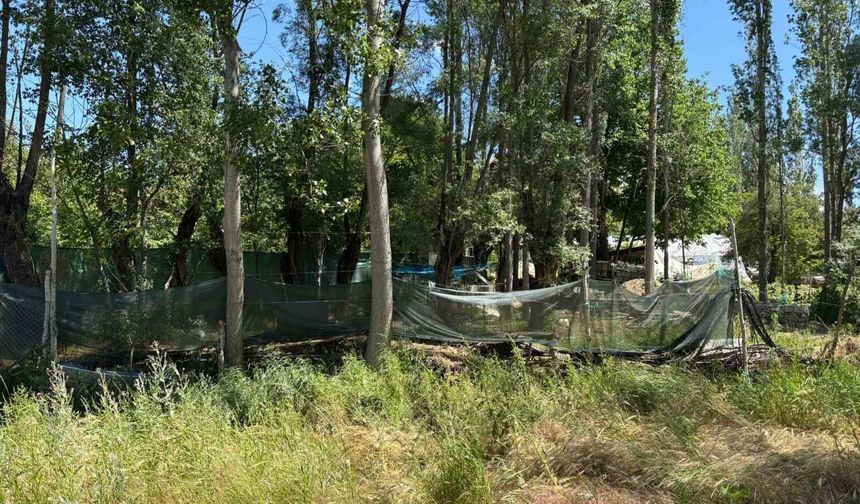Ankara'da eşinin bıçakladığı kadın hayatını kaybetti