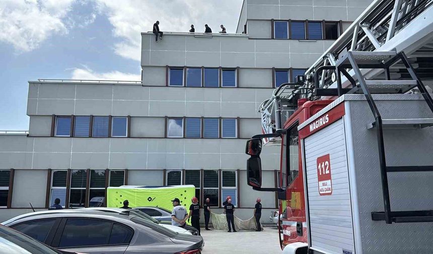Bolu'da 2 milyon liralık salep cezasına isyan edip çatıya çıktı