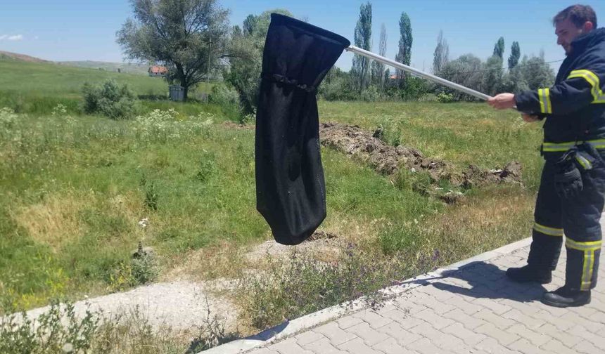 Eve giren yılanı itfaiye yakaladı
