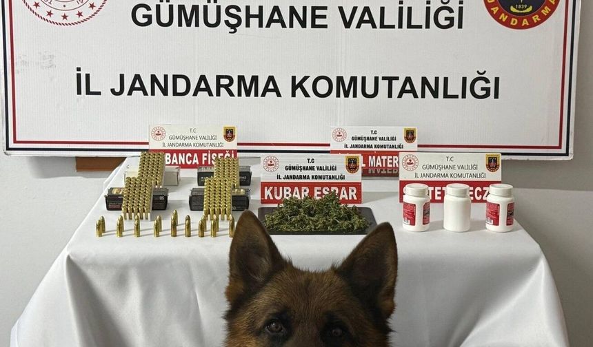 Gümüşhane'de uyuşturucu operasyonu