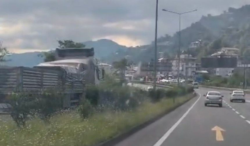 Karadeniz Sahil Yolunda ters yönde giden kamyon korkuttu