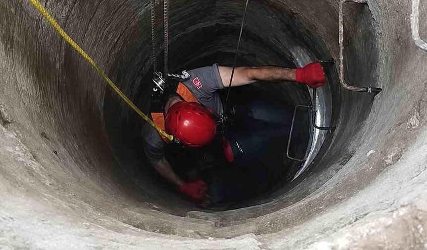 Kuyuya düşen kedinin imdadına itfaiye yetişti