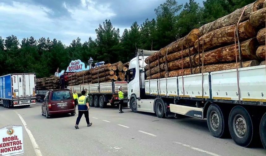 Sinop'ta orman emvali nakilleri denetimi