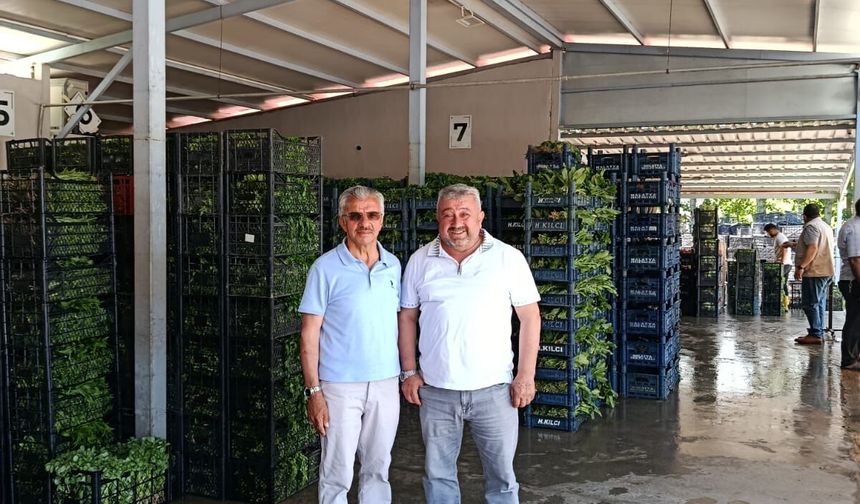 EMEK, CESARET VE VİZYONUN ADI: EMİCE TARIM