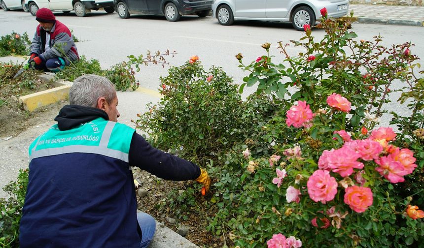 Tokat’ta Şehir Kendi Çiçekleriyle Renkleniyor