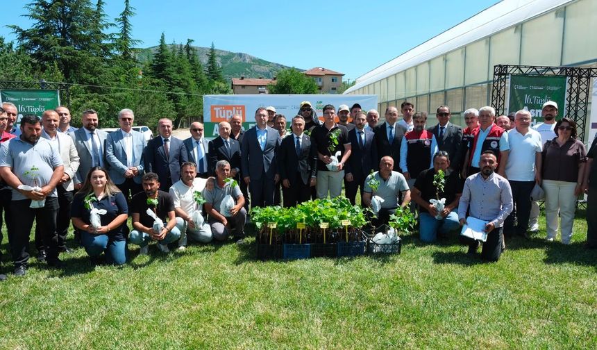 Tokat’ta Binlerce Tüplü Asma Fidanı Üreticiyle Buluştu