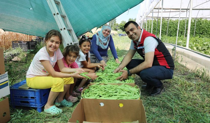 Tokat’ta Taze Fasulye Hasadı Heyecanı! İl Müdüründen Üreticiye Anlamlı Ziyaret