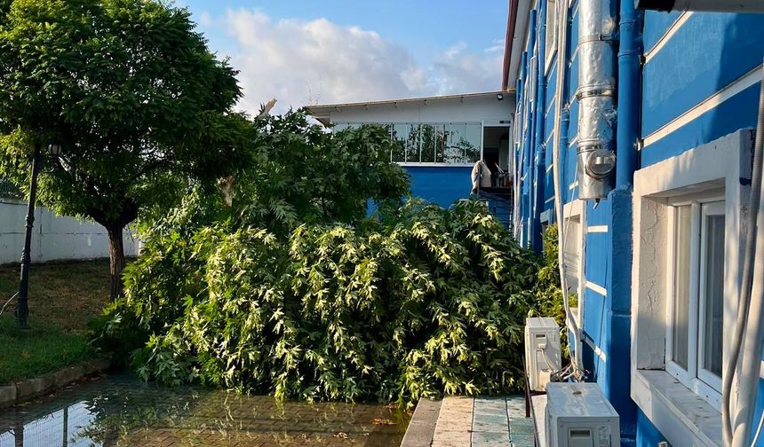 Fırtına Erbaa'yı Vurdu! Efor Çay Erbaaspor Tesislerinde Hasar Oluştu
