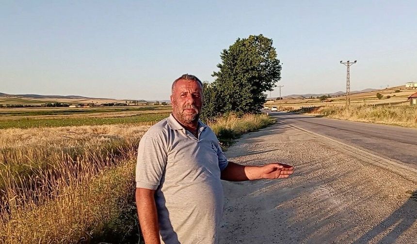 Yeşilyurt’ta Binlerce Kurbağa Yollara Döküldü