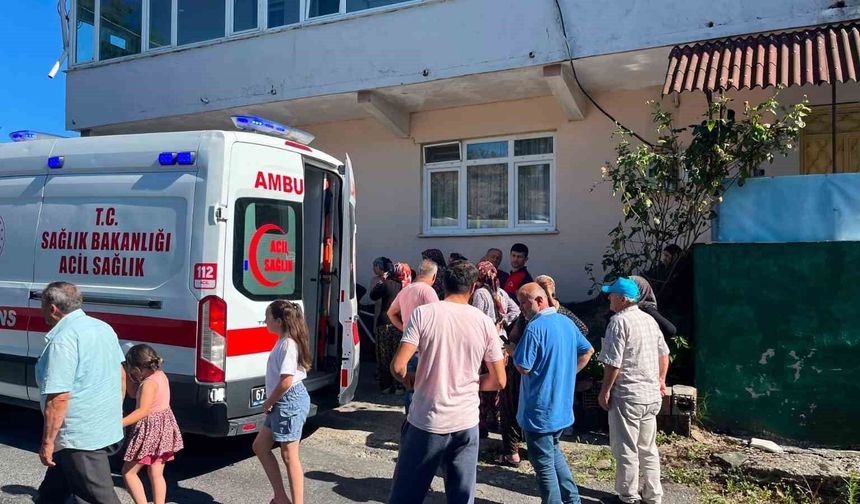 Alaplı'da 'pat-pat' kazası: 5 yaralı