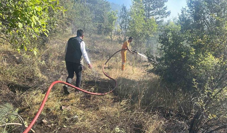 Anız yangını ormanlık alana sıçramadan söndürüldü