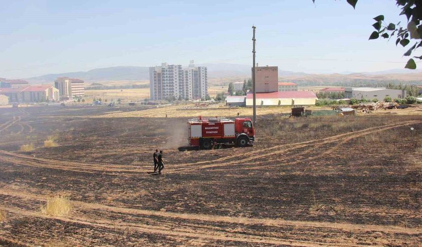 Buğday tarlasında yangın çıktı, dumanlar trafik kazasına neden oldu: 1 yaralı