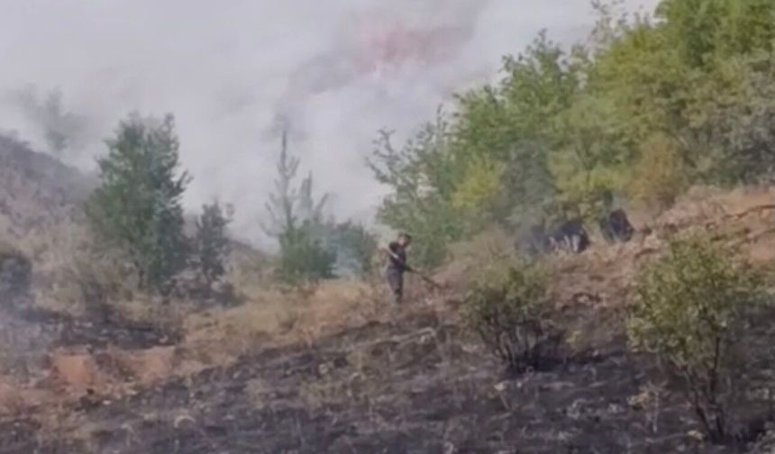 Çankırı'da çıkan arazi yangını söndürüldü