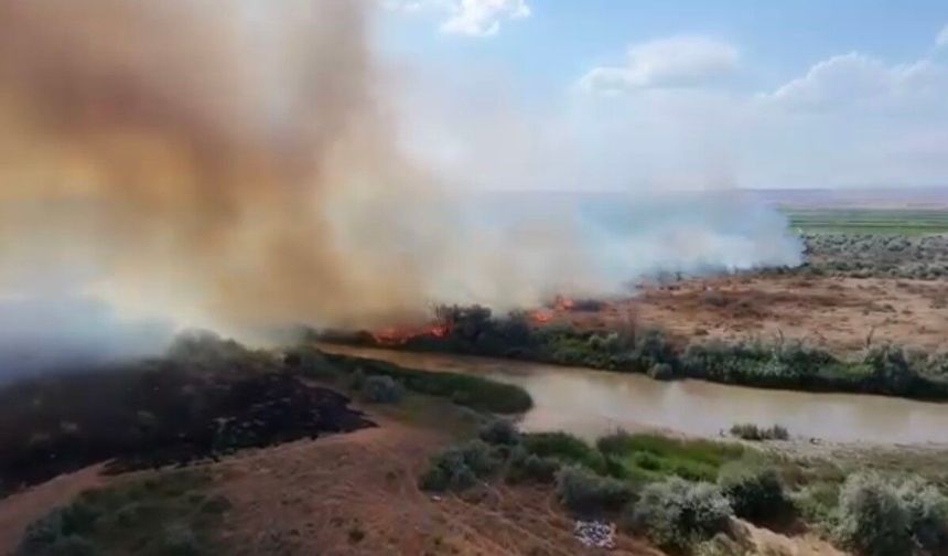 Kızılırmak Nehri çevresinde korkutan örtü yangını