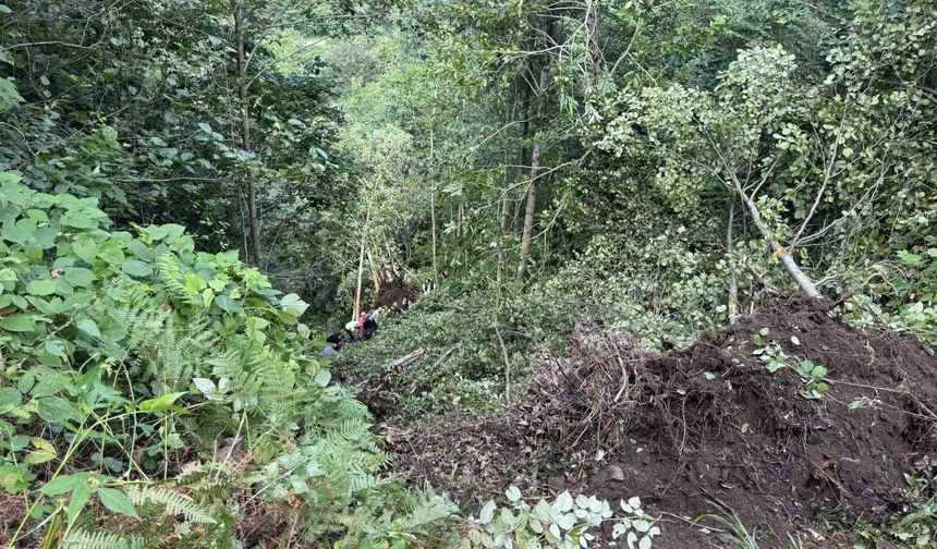 Rize'de uçuruma yuvarlanan iş makinesinin operatörü yaralandı