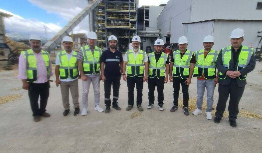 TOKAT'TA TARLADAKİ ANIZLA ELEKTRİK ÜRETİLİYOR