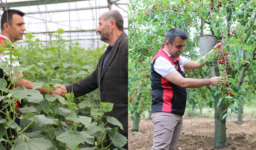 İl Tarım ve Orman Müdürü Cebeci, Üreticilerle Sahada Bir Araya Gelmeye Devam Ediyor