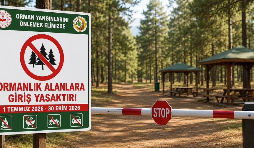 Tokat'ta Ormanlara Girişler 1 Temmuz'dan İtibaren Yasaklandı