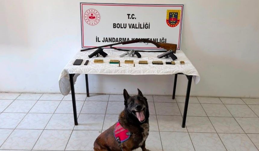 Bolu'da evinde silah ve mühimmat bulunan şüpheli tutuklandı