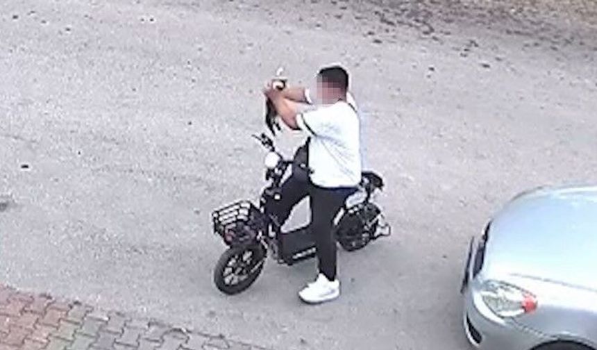 Bolu'da yavru kediyi önce öpüp sonra boğan otizmli çocuk serbest bırakıldı