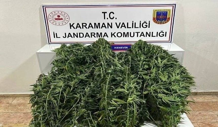 Karaman'da jandarmanın yakaladığı 44 şahıstan 9'u tutuklandı