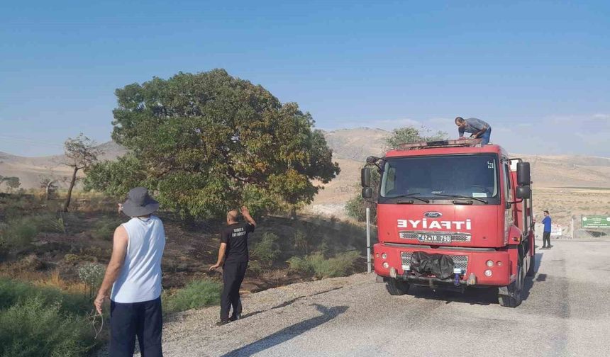Karapınar'da ot yangını paniğe neden oldu