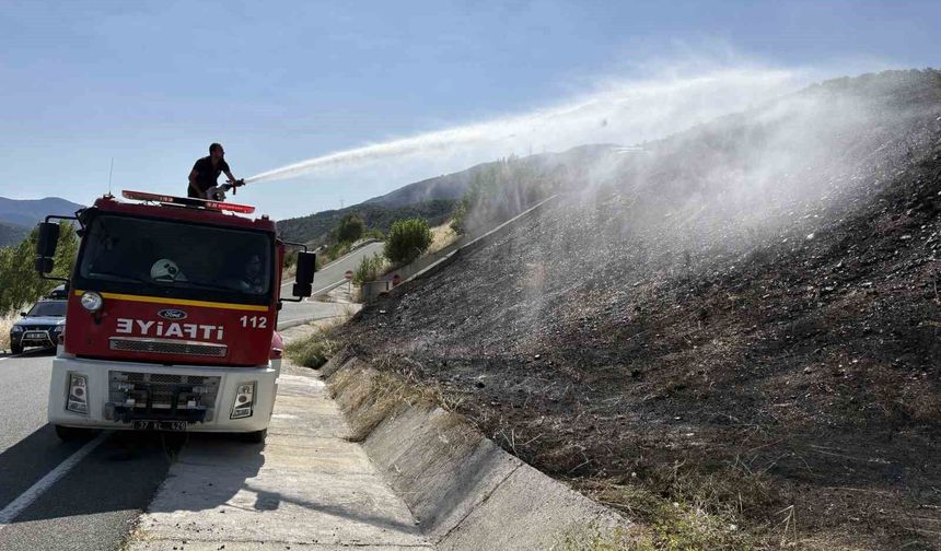 Kastamonu'da çıkan örtü yangınları büyümeden söndürüldü