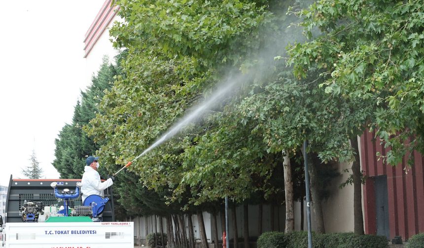 Tokat Belediyesi Ekipleri Şehir Genelinde İlaçlama Çalışmalarını Aralıksız Sürdürüyor