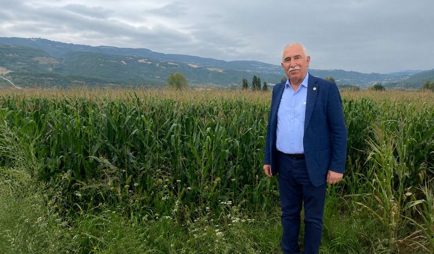 CHP’li Kadim Durmaz’dan TMO’ya Çağrı: "Mısır Alım Fiyatı En Az 17 Lira Olmalı"