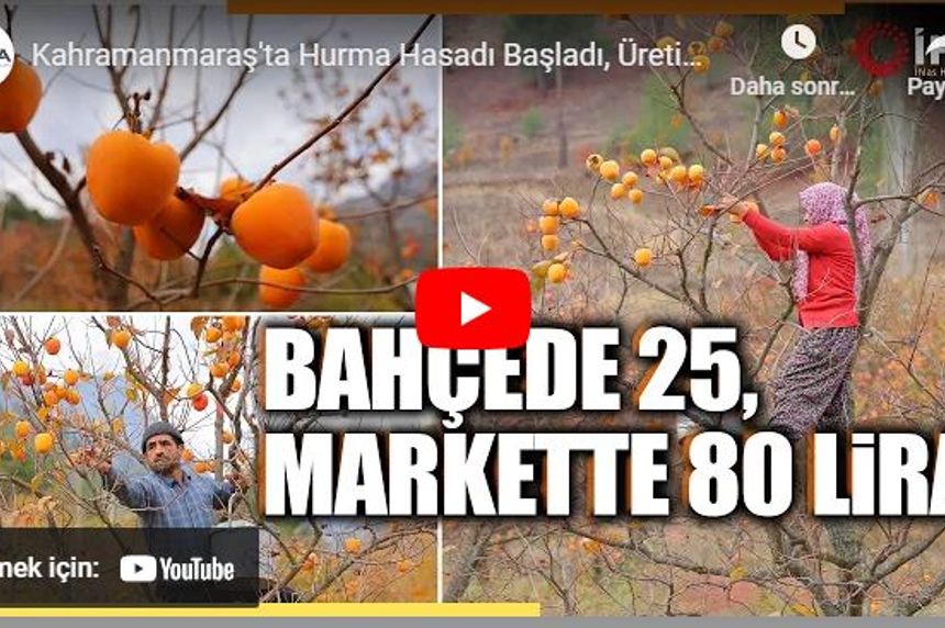 Cennet Hurması üreticide 25, markette 80 TL!