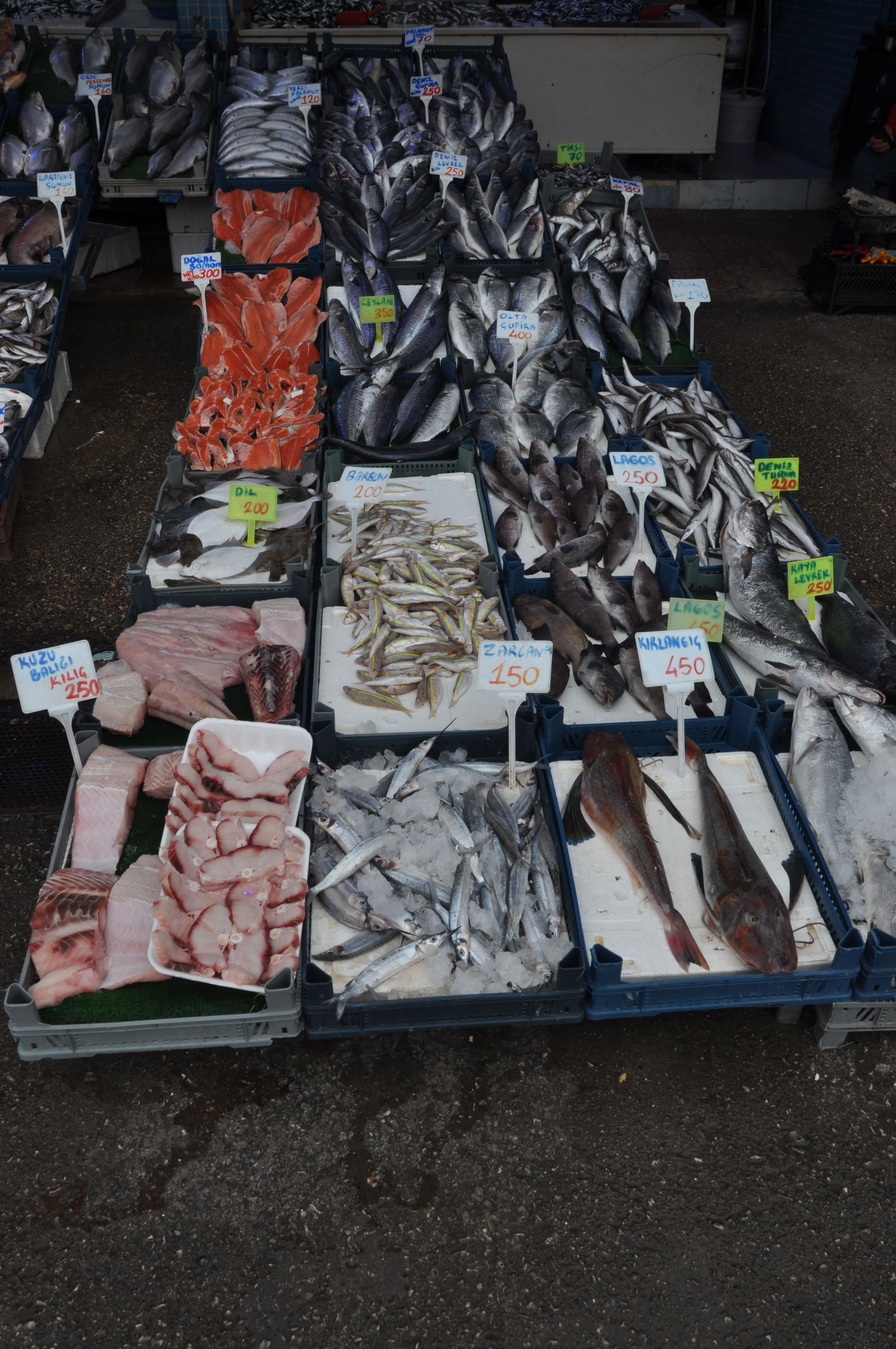 Balık Tezgâhlarında Fiyatlar Nasıl (2)