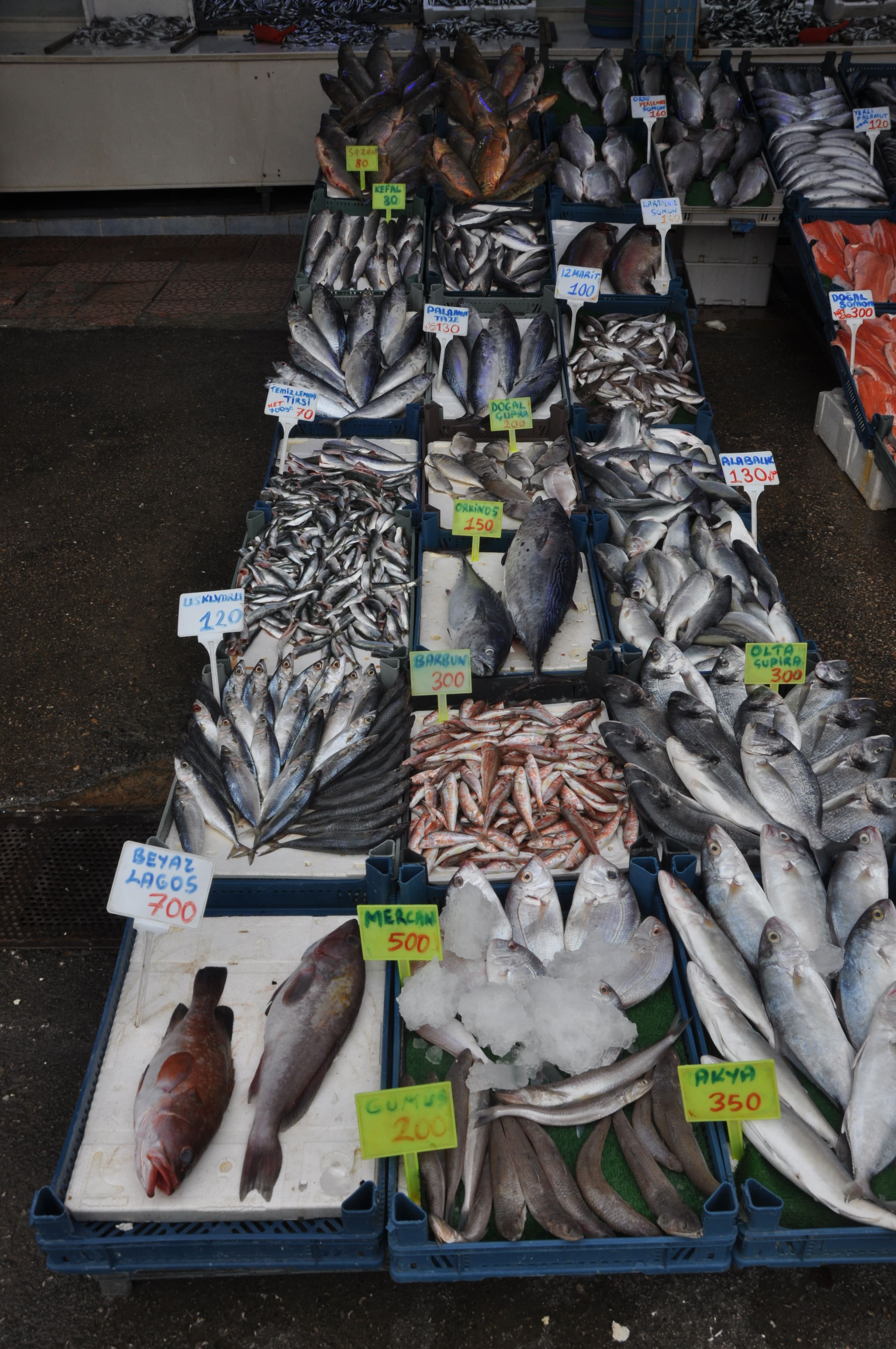 Balık Tezgâhlarında Fiyatlar Nasıl (3)