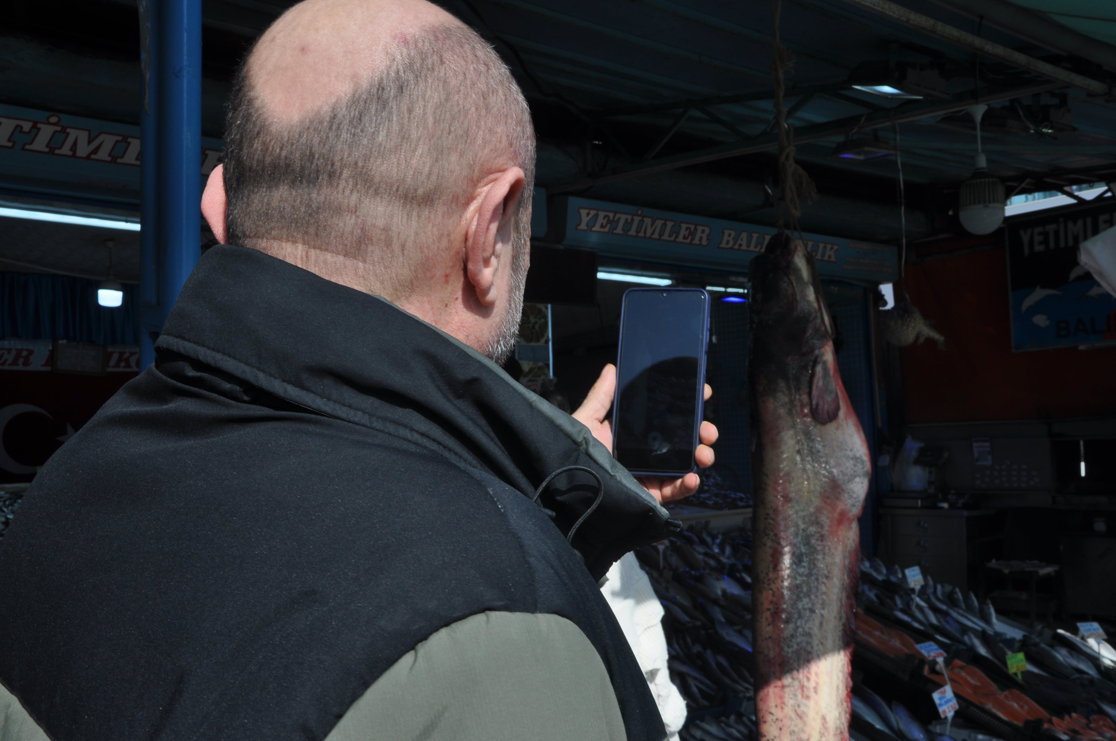 Tokat'ta 2,5 Metrelik Dev Sazan Balığı Tezgâhta Sergilendi (2) Min