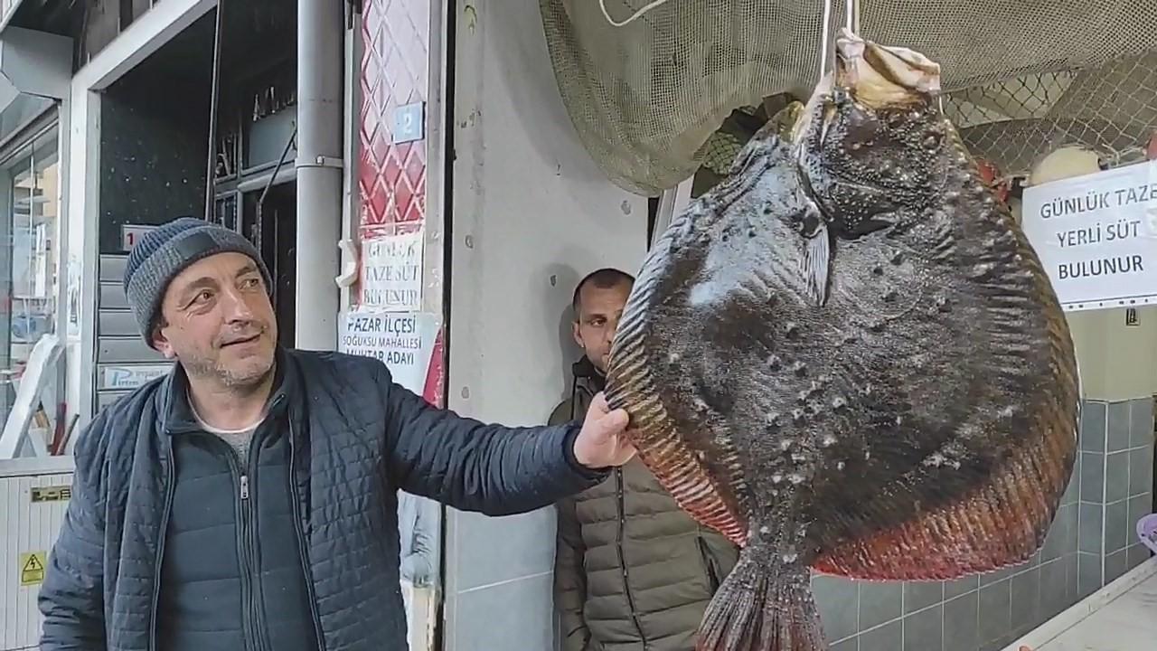 Balıkçı suya attığı ağını geri çektiğinde diğer balıkların arasında hemen  onu fark etti 2 milyonda 1 görülüyordu Hızlıca diğerlerinden ayıkladı  - Dünya Haberleri - TV100