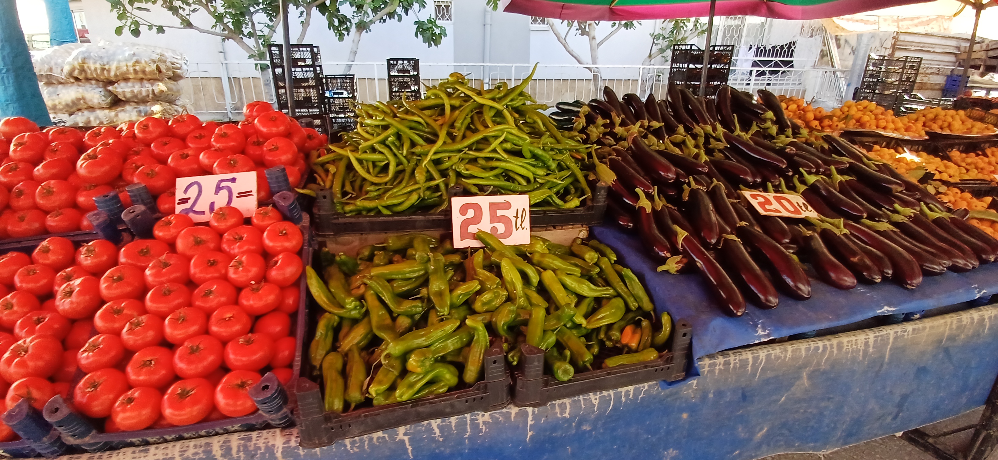Çarşamba Pazar’ında Sebze Meyvelerde Güncel Fiyatları (16)