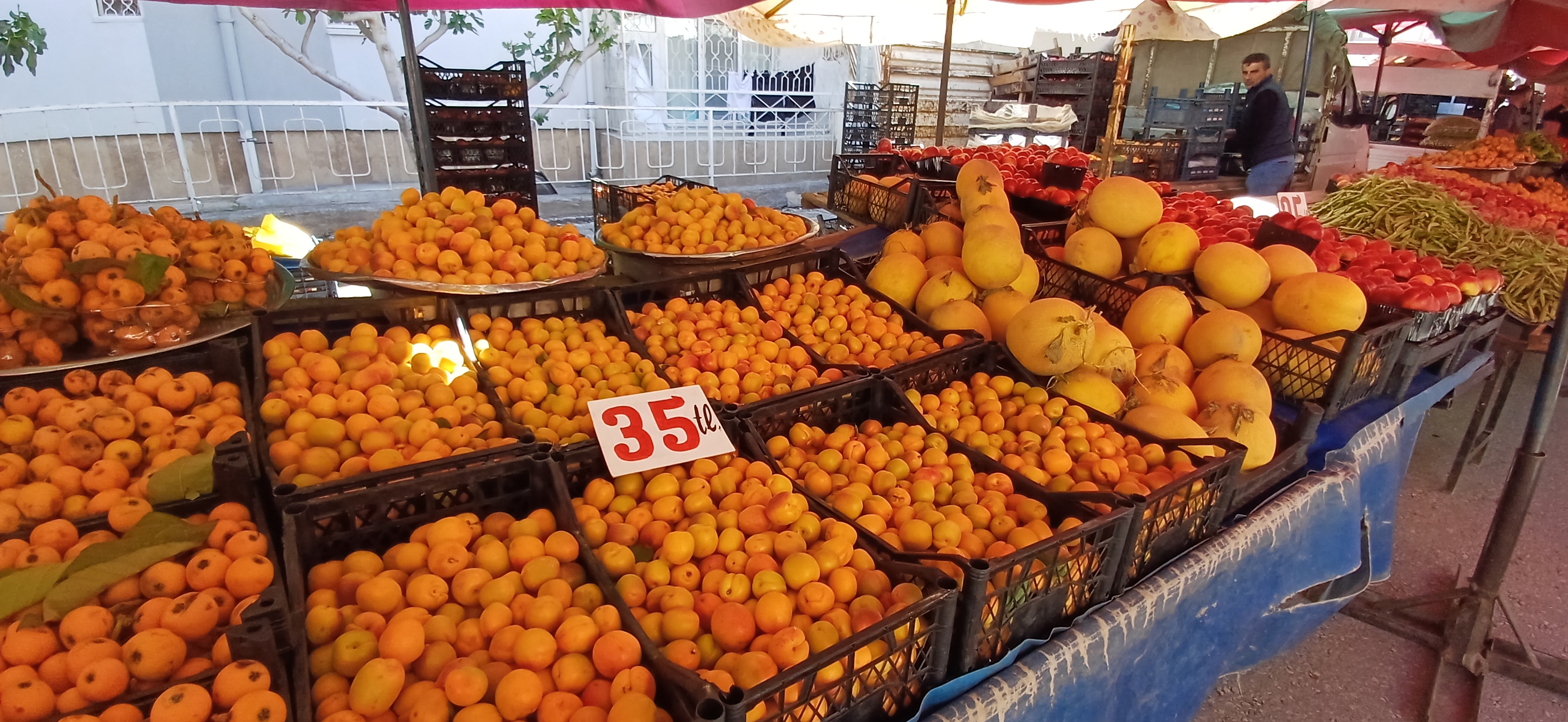 Çarşamba Pazar’ında Sebze Meyvelerde Güncel Fiyatları (17)