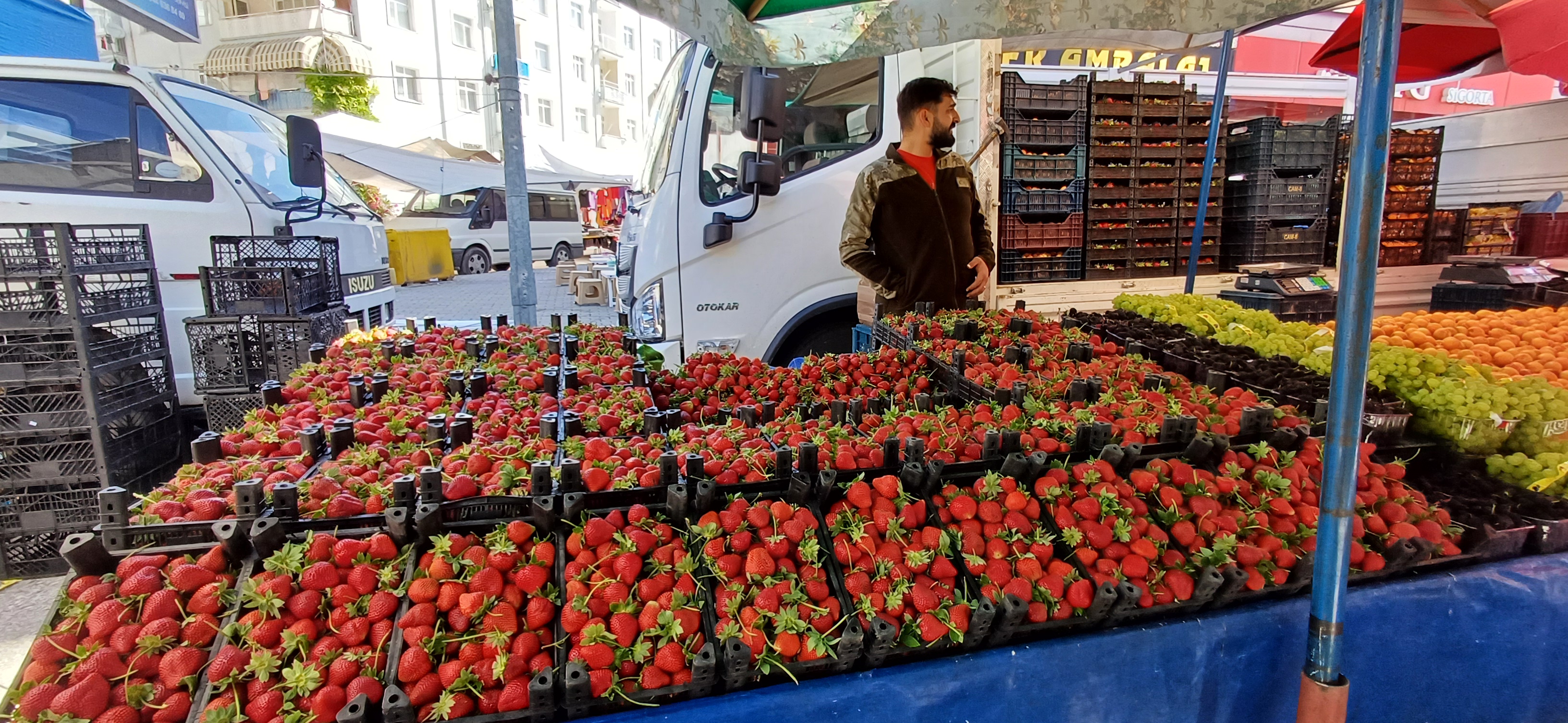 Çarşamba Pazar’ında Sebze Meyvelerde Güncel Fiyatları (25)