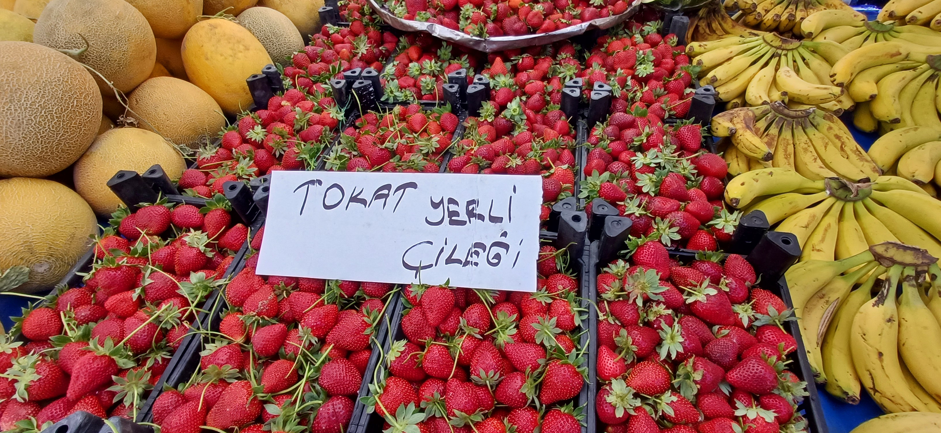 Çarşamba Pazar’ında Sebze Meyvelerde Güncel Fiyatları (31)